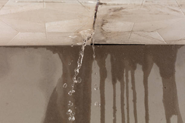 Professional Burst Pipe Cleanup technician working in Webberville, MI